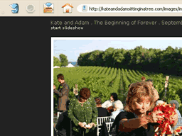 screenshot of kateandadamsittinginatree.com