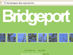 screenshot of bridgeport.alkem.com